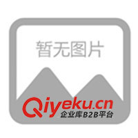 廣州地區(qū)柴油發(fā)電機(jī)大修，廣州地區(qū)柴油發(fā)電機(jī)組大修(圖)